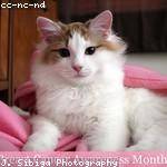 Adrian Barton Profile Picture