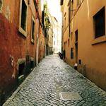 Else Farrell Profile Picture