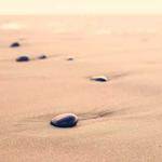 Vita Dare Profile Picture