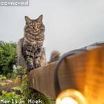 Leonora Herman Profile Picture