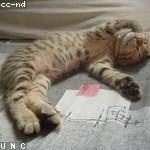 Sophie Terry Profile Picture