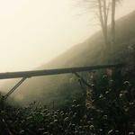 Weldon Tillman Profile Picture