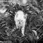 Willis Kunze Profile Picture