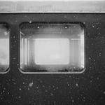 Javier Lueilwitz Profile Picture