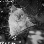 Catharine Prohaska Profile Picture