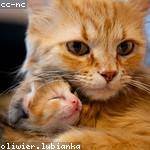 Makenna Emard Profile Picture