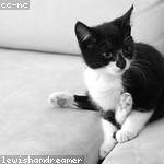 Telly Murazik Profile Picture