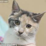 Georgianna Pouros Profile Picture