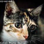 Maureen Beier Profile Picture