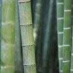 Louie Monahan Profile Picture