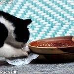 Elna Zboncak Profile Picture