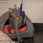 Freida Ebert Profile Picture