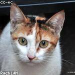 Elijah Hintz Profile Picture