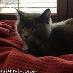 Lane Corkery Profile Picture