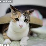 Einar Lindgren Profile Picture