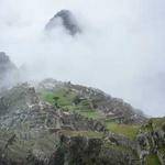 Enrico Kshlerin Profile Picture