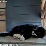 Kiana Blick Profile Picture