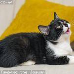 Creola Oberbrunner Profile Picture