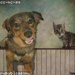 Lorenza Keeling Profile Picture