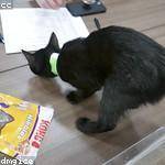 Dion Muller Profile Picture