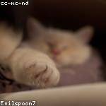 Lizeth Roob Profile Picture