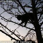 Gene Lowe Profile Picture