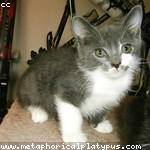 Tianna Effertz Profile Picture