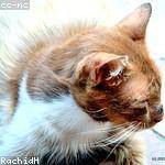 Edgardo Gerhold Profile Picture