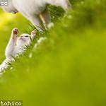 Mariela Erdman Profile Picture