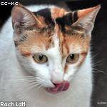 Dianna Wyman Profile Picture