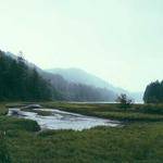 Presley Predovic Profile Picture