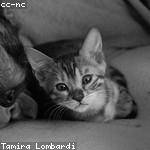 Earline Baumbach Profile Picture