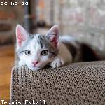 Leola Dickinson Profile Picture