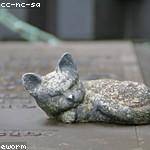 Kyra Hansen Profile Picture