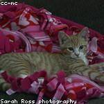 Lisette Kertzmann Profile Picture