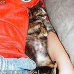 Lisa Dibbert Profile Picture