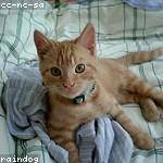 Delphia Jaskolski Profile Picture