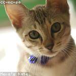 Webster Hessel Profile Picture