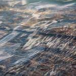 Stacy Steuber Profile Picture