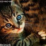 Lola Ruecker Profile Picture