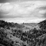 Nia Kshlerin Profile Picture