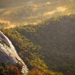 Micah Medhurst Profile Picture