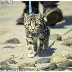 Jessy Kuhic Profile Picture