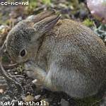 Mozell Botsford Profile Picture