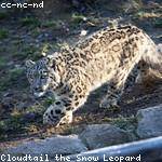 Octavia Kilback Profile Picture