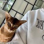 Cristian Hilpert Profile Picture