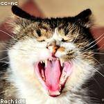 Helga Medhurst Profile Picture