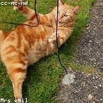 Sigmund Bernhard Profile Picture