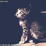 Abel Effertz Profile Picture