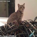 Lonnie Leffler Profile Picture